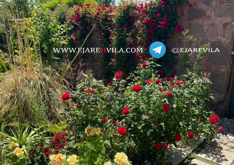 WhatsApp Image 2021-09-13 at 16.20.31