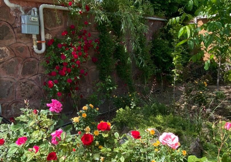 WhatsApp Image 2021-09-13 at 16.20.38