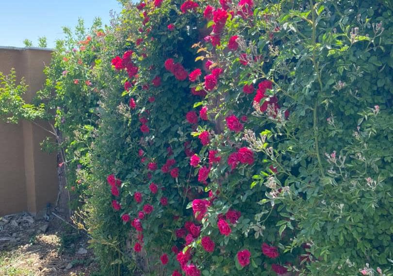 WhatsApp Image 2021-09-13 at 16.20.39