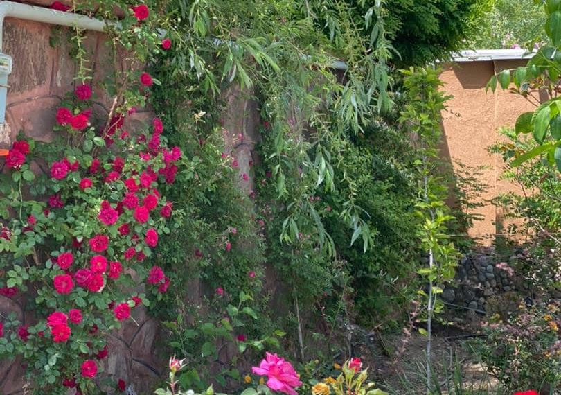 WhatsApp Image 2021-09-13 at 16.20.40 (1)