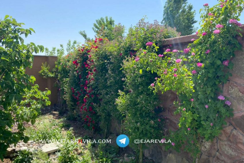 WhatsApp Image 2021-09-13 at 16.20.40