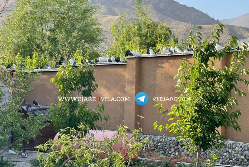 WhatsApp Image 2021-09-13 at 16.20.41 (1)