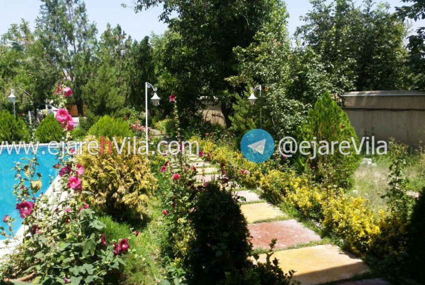 photo_2018-12-12_03-07-28