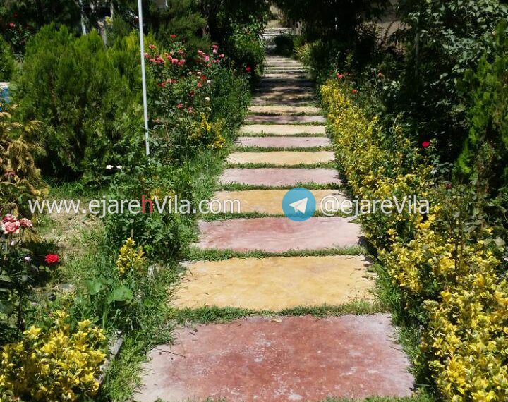 photo_2018-12-12_03-07-33