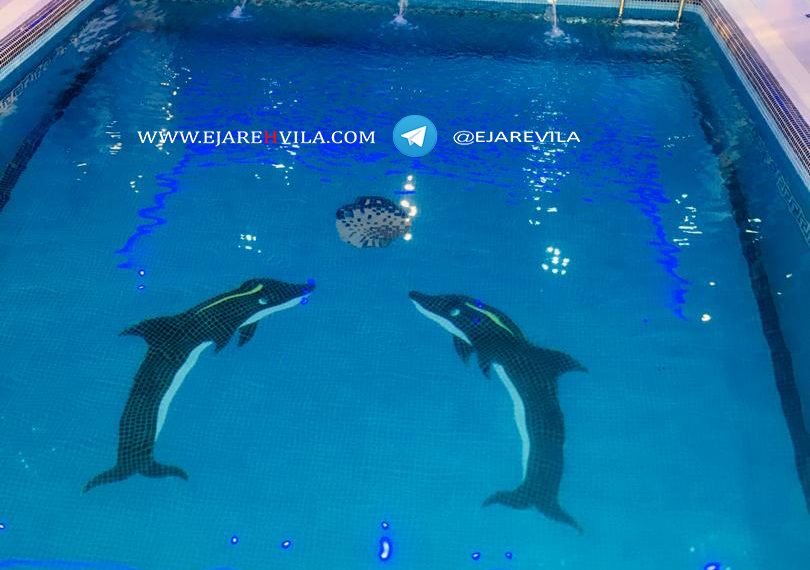 WhatsApp Image 2020-07-14 at 16.50.01