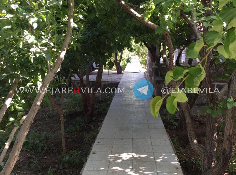 WhatsApp Image 2020-08-16 at 01.56.51 (2)