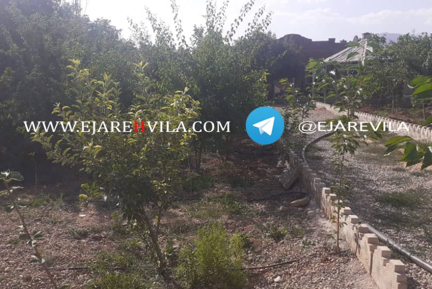 WhatsApp Image 2020-09-06 at 13.49.51 (2)