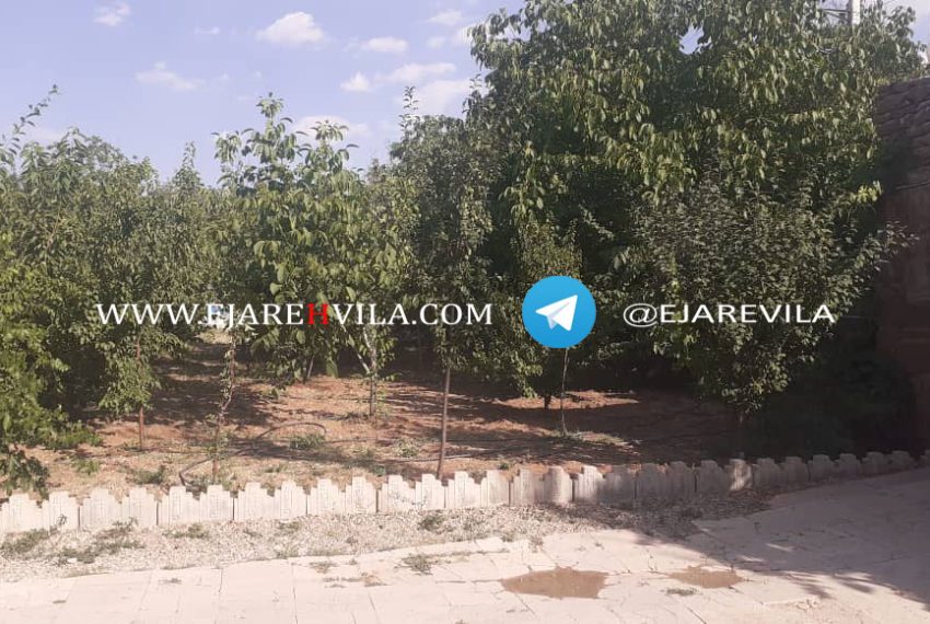 WhatsApp Image 2020-09-06 at 13.49.52