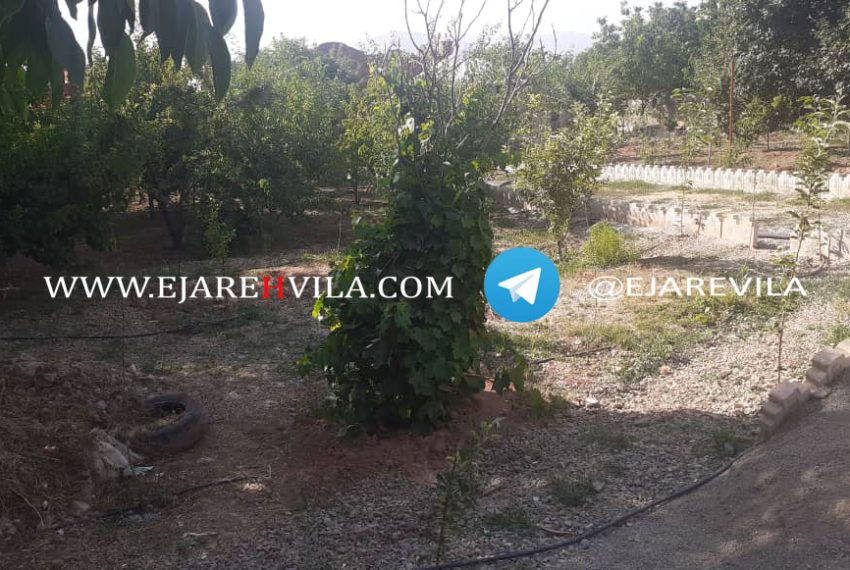 WhatsApp Image 2020-09-06 at 13.49.53