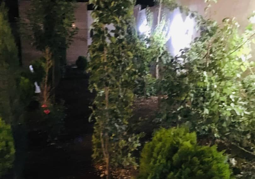 WhatsApp Image 2021-07-14 at 12.49.55 (1) copy