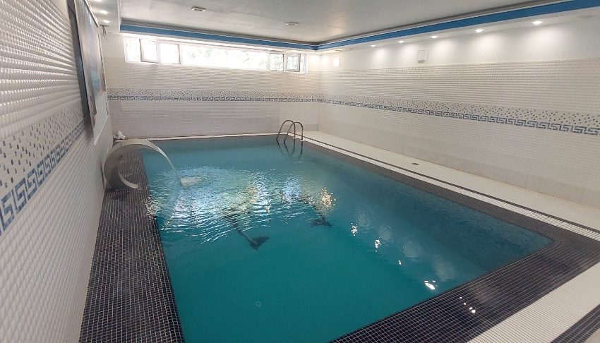 WhatsApp Image 2022-09-19 at 4.08.33 PM (1)