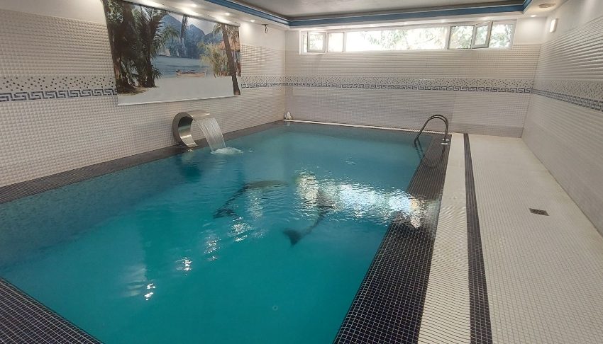 WhatsApp Image 2022-09-19 at 4.08.33 PM (2)