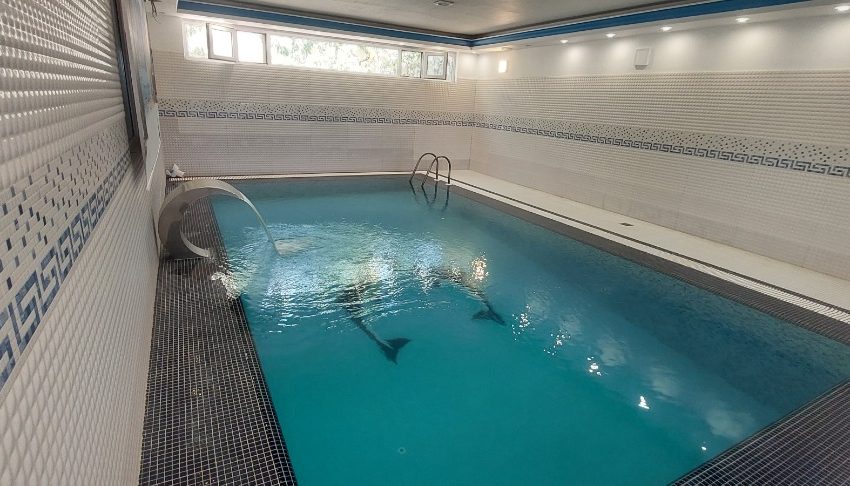 WhatsApp Image 2022-09-19 at 4.08.33 PM