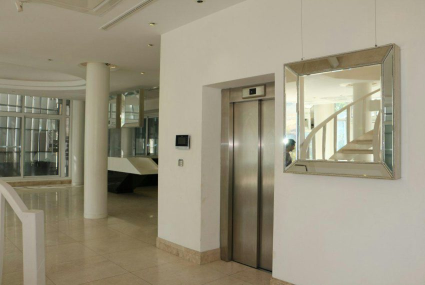 photo_2018-12-26_00-56-14