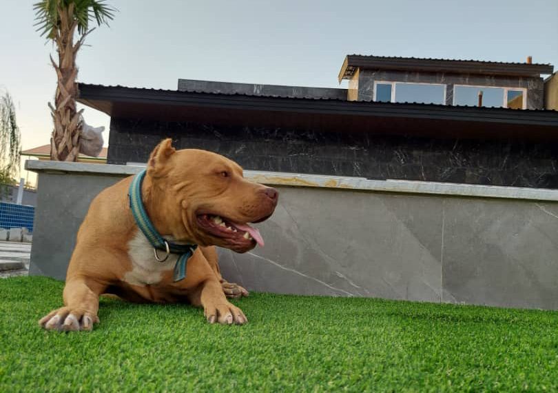 WhatsApp Image 2021-12-12 at 17.06.01 (2)