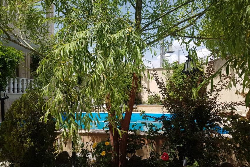 WhatsApp Image 2021-08-02 at 04.32.43 (16)