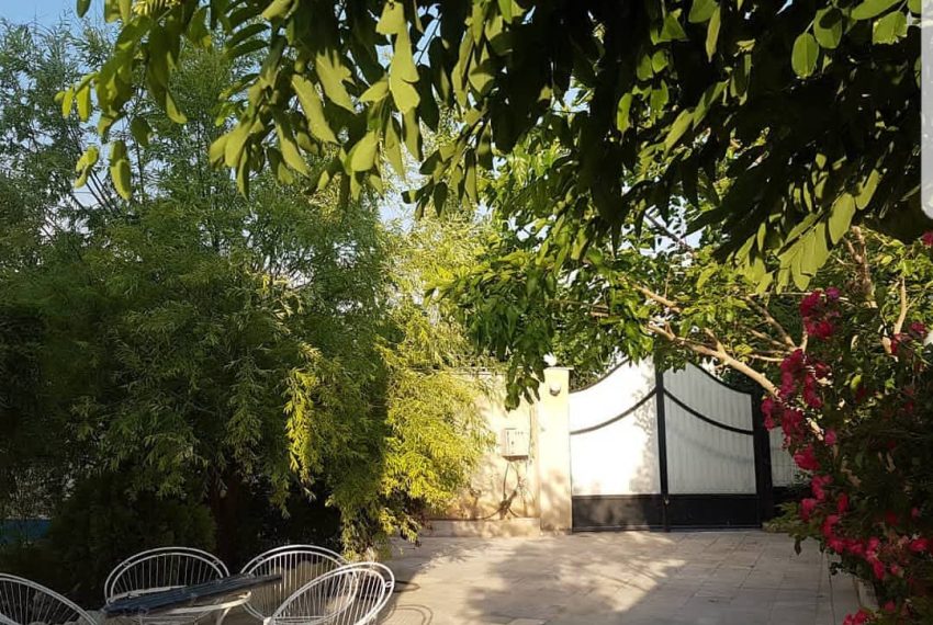 WhatsApp Image 2021-08-02 at 04.32.43 (8)