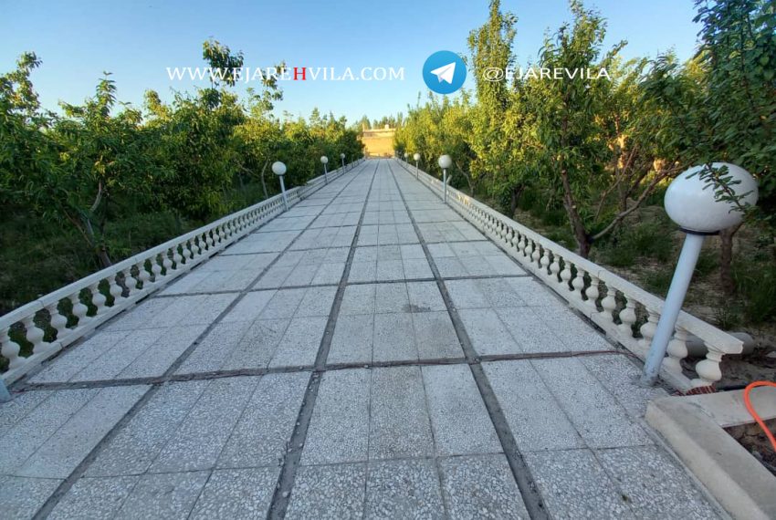 WhatsApp Image 2021-08-13 at 13.26.51