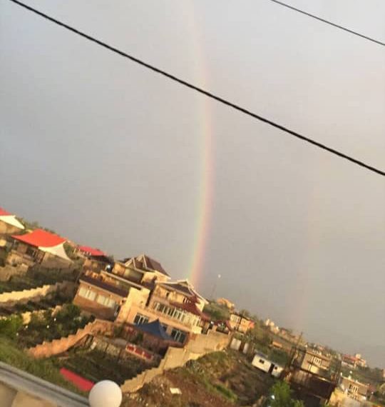 WhatsApp Image 2021-11-10 at 21.37.26