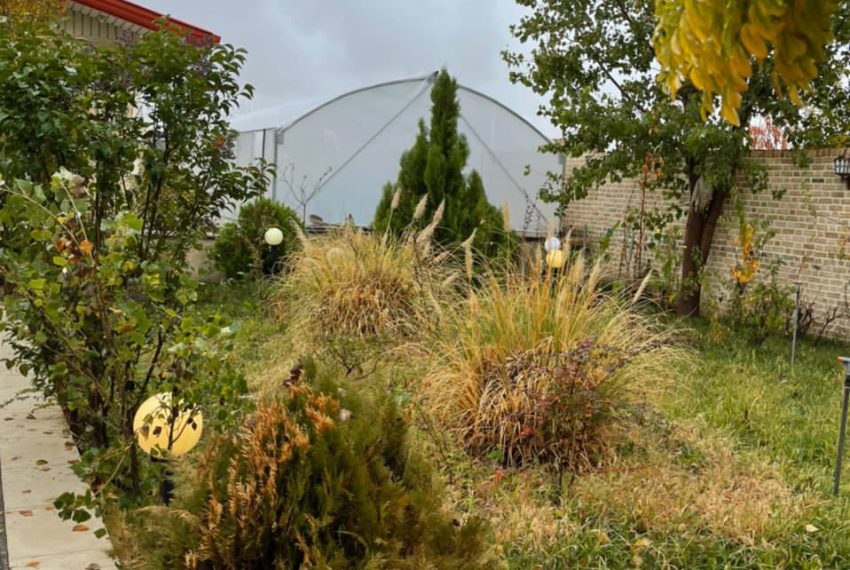 WhatsApp Image 2021-12-13 at 15.39.39