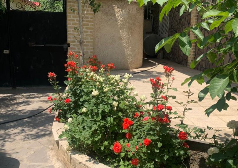 WhatsApp Image 2021-12-14 at 16.23.37