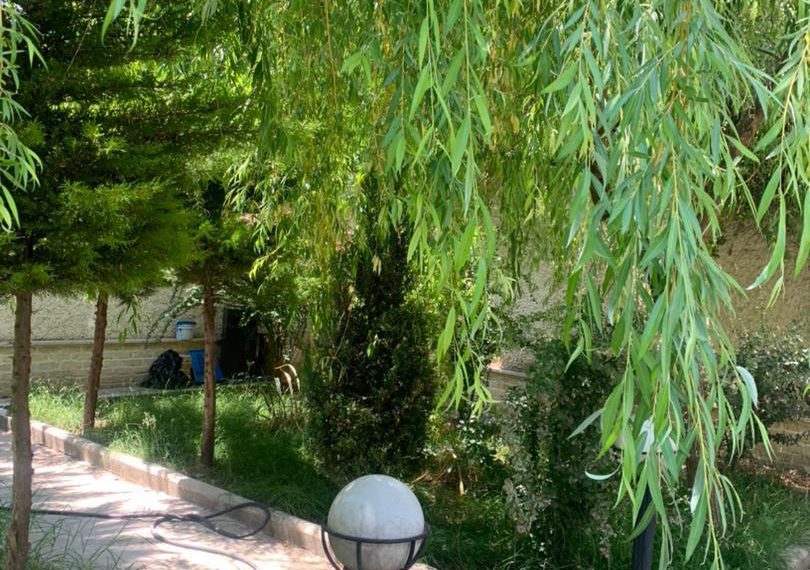 WhatsApp Image 2021-12-14 at 16.23.38