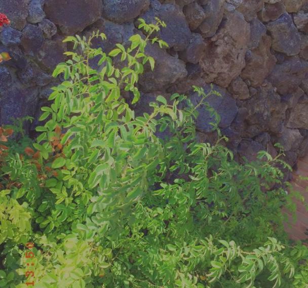 WhatsApp Image 2021-12-29 at 3.14.37 PM