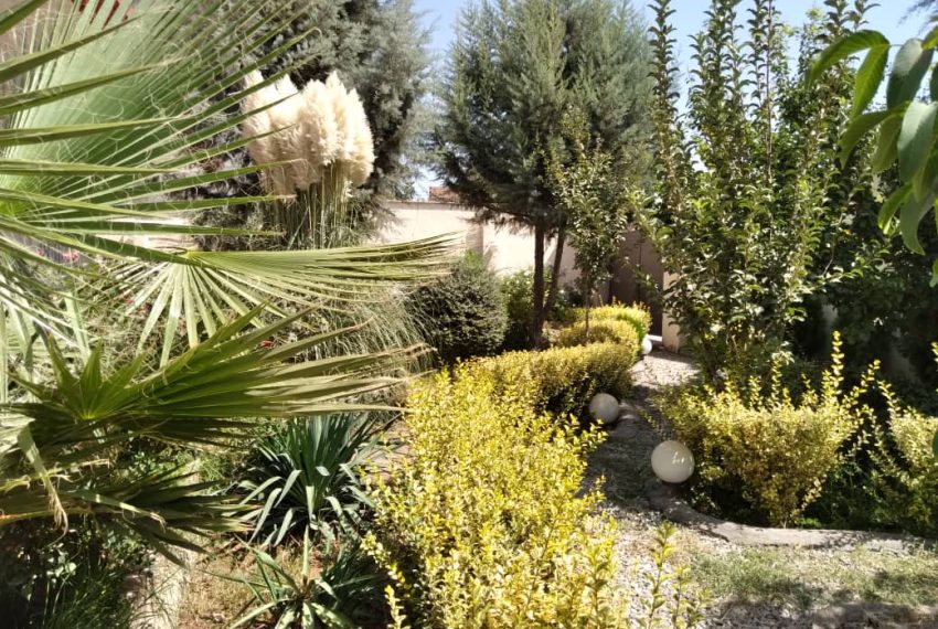 WhatsApp Image 2021-12-29 at 7.00.40 PM