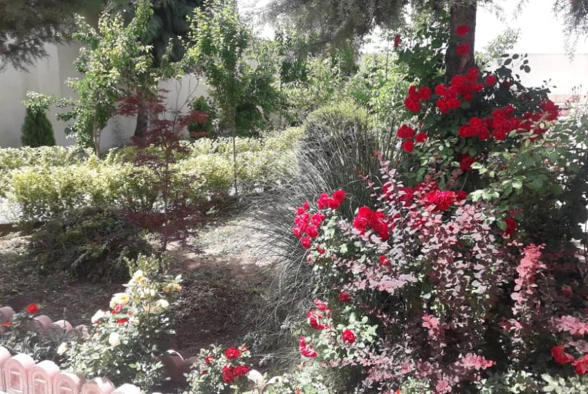 WhatsApp Image 2021-12-29 at 7.00.41 PM (1)