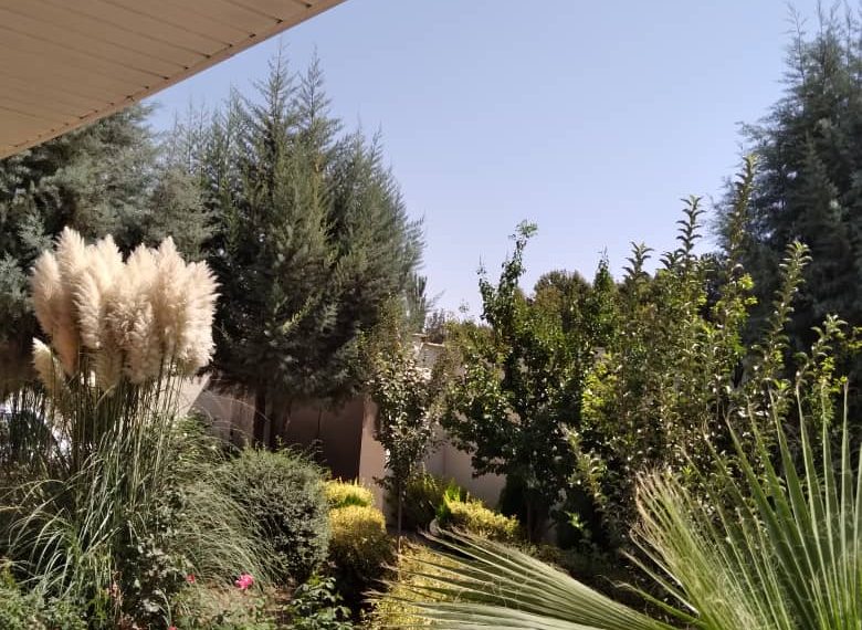 WhatsApp Image 2021-12-29 at 7.00.42 PM