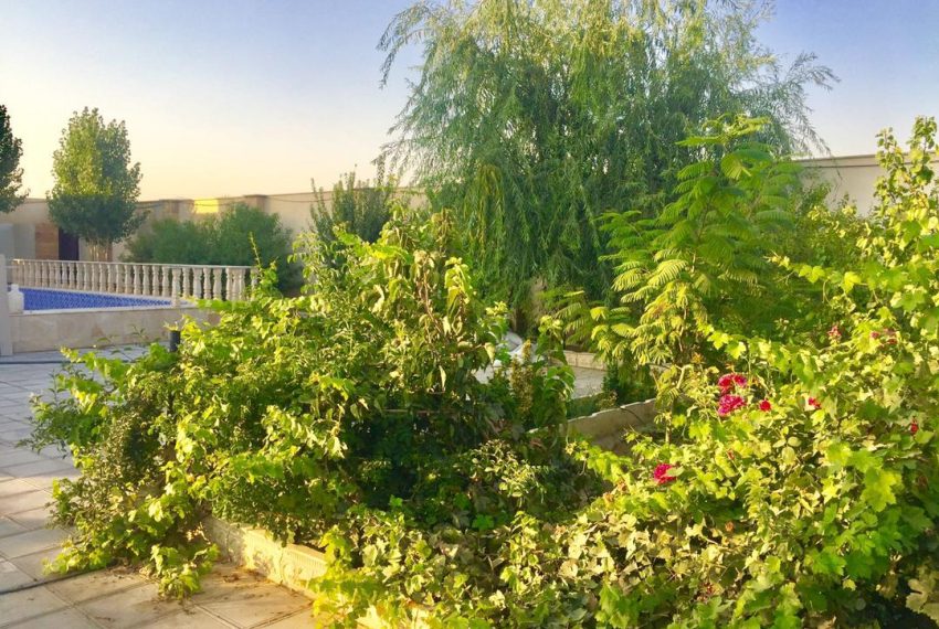 WhatsApp Image 2021-12-31 at 3.04.10 PM