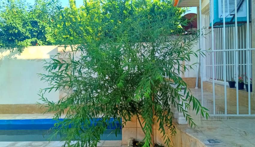 WhatsApp Image 2022-01-01 at 2.27.11 PM