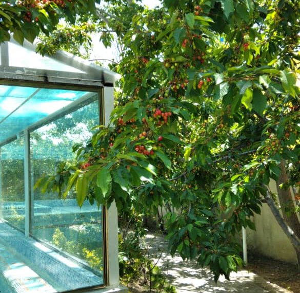 WhatsApp Image 2022-01-09 at 12.02.27