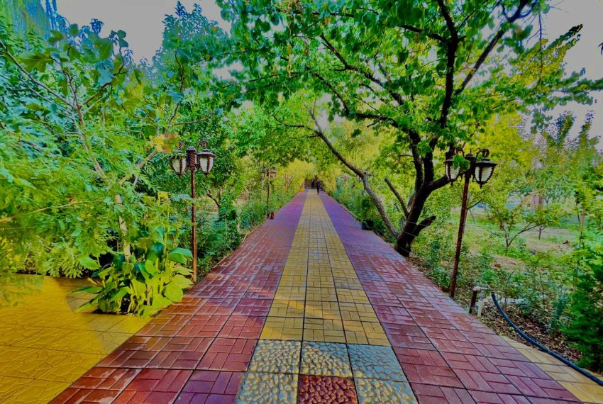 WhatsApp Image 2022-01-09 at 12.16.43