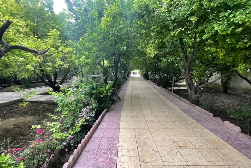 WhatsApp Image 2022-01-15 at 13.19.19