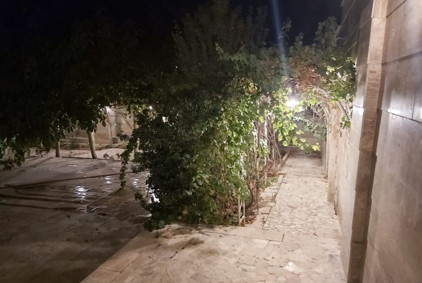 WhatsApp Image 2022-01-27 at 19.53.08 (2)