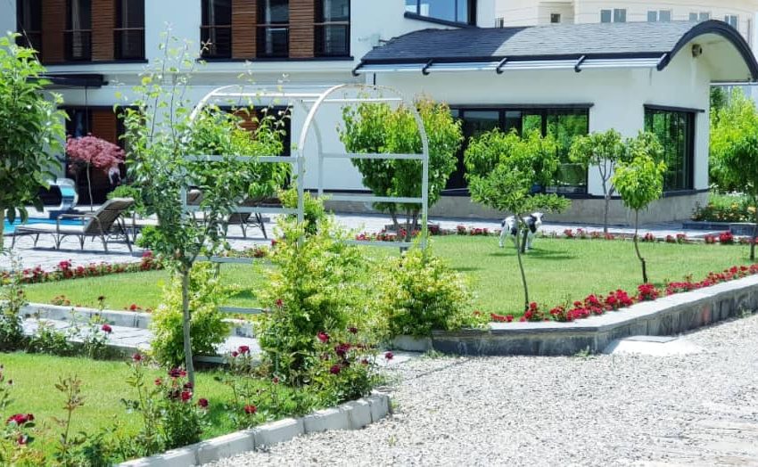 WhatsApp Image 2022-02-22 at 9.17.10 PM (1) - Copy