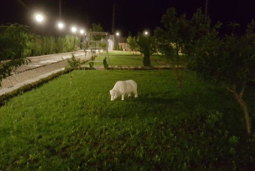 WhatsApp Image 2022-02-22 at 9.19.22 PM