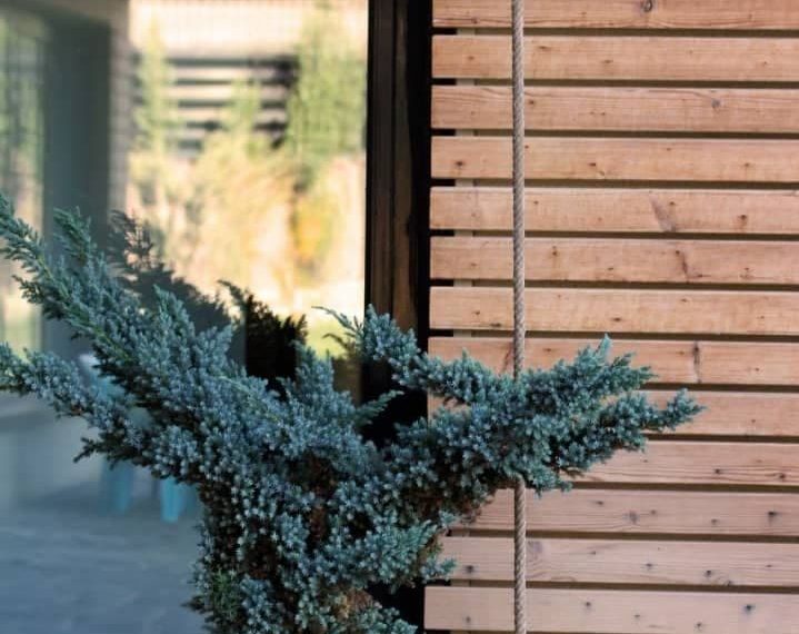 WhatsApp Image 2022-02-22 at 9.20.24 PM - Copy