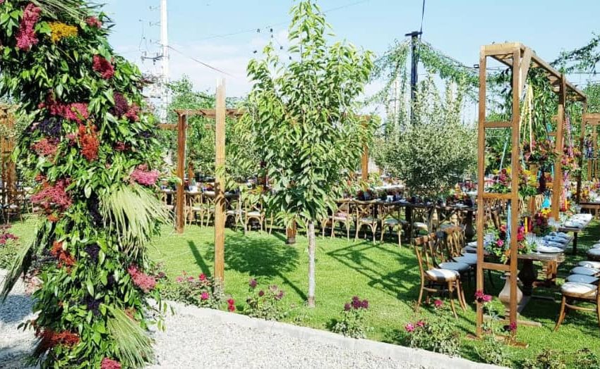 WhatsApp Image 2022-02-22 at 9.20.28 PM (2) - Copy