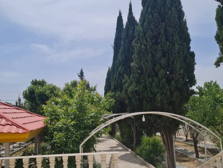 WhatsApp Image 2022-08-13 at 2.33.17 PM (2)