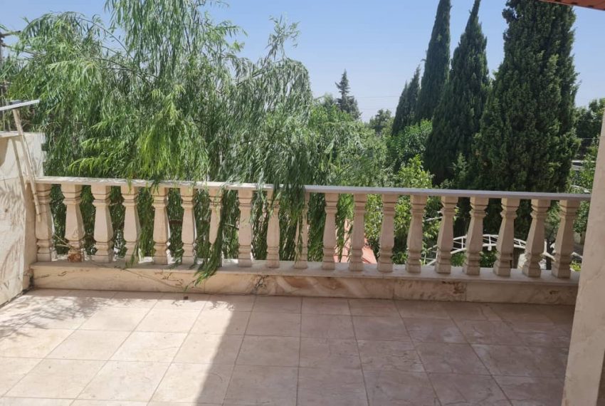 WhatsApp Image 2022-08-13 at 2.33.17 PM