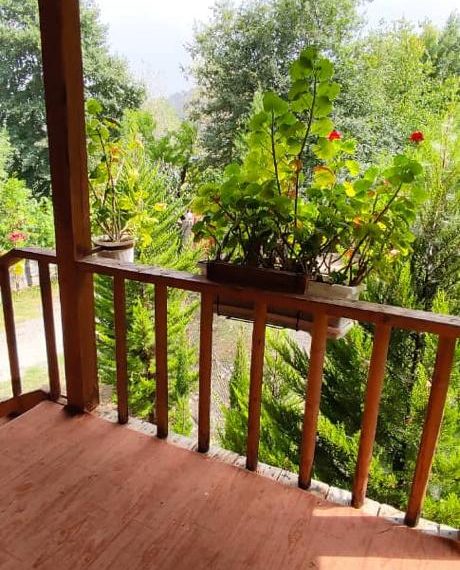 WhatsApp Image 2022-09-06 at 9.22.36 PM (5)