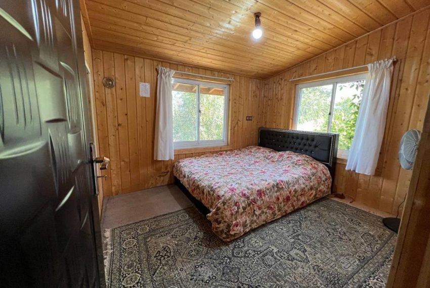 WhatsApp Image 2022-09-06 at 9.23.20 PM (2)