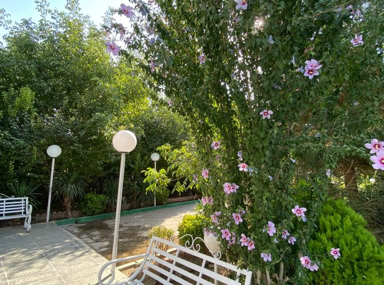 WhatsApp Image 2022-09-07 at 11.36.31 AM