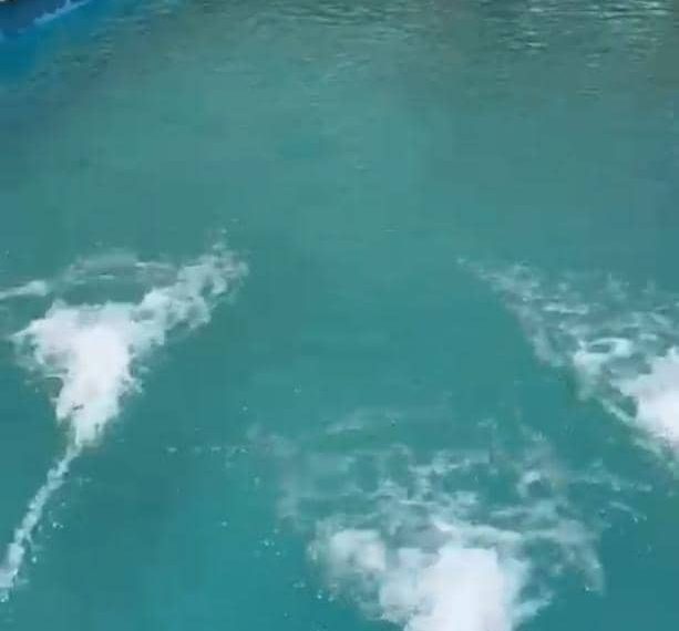 WhatsApp Image 2022-09-10 at 4.09.17 PM